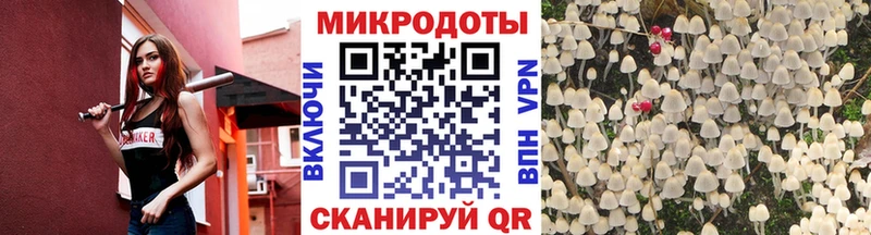 Купить  Тихвин  Галлюциногенные грибы мицелий 